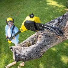 Mulching Services in American Canyon, CA